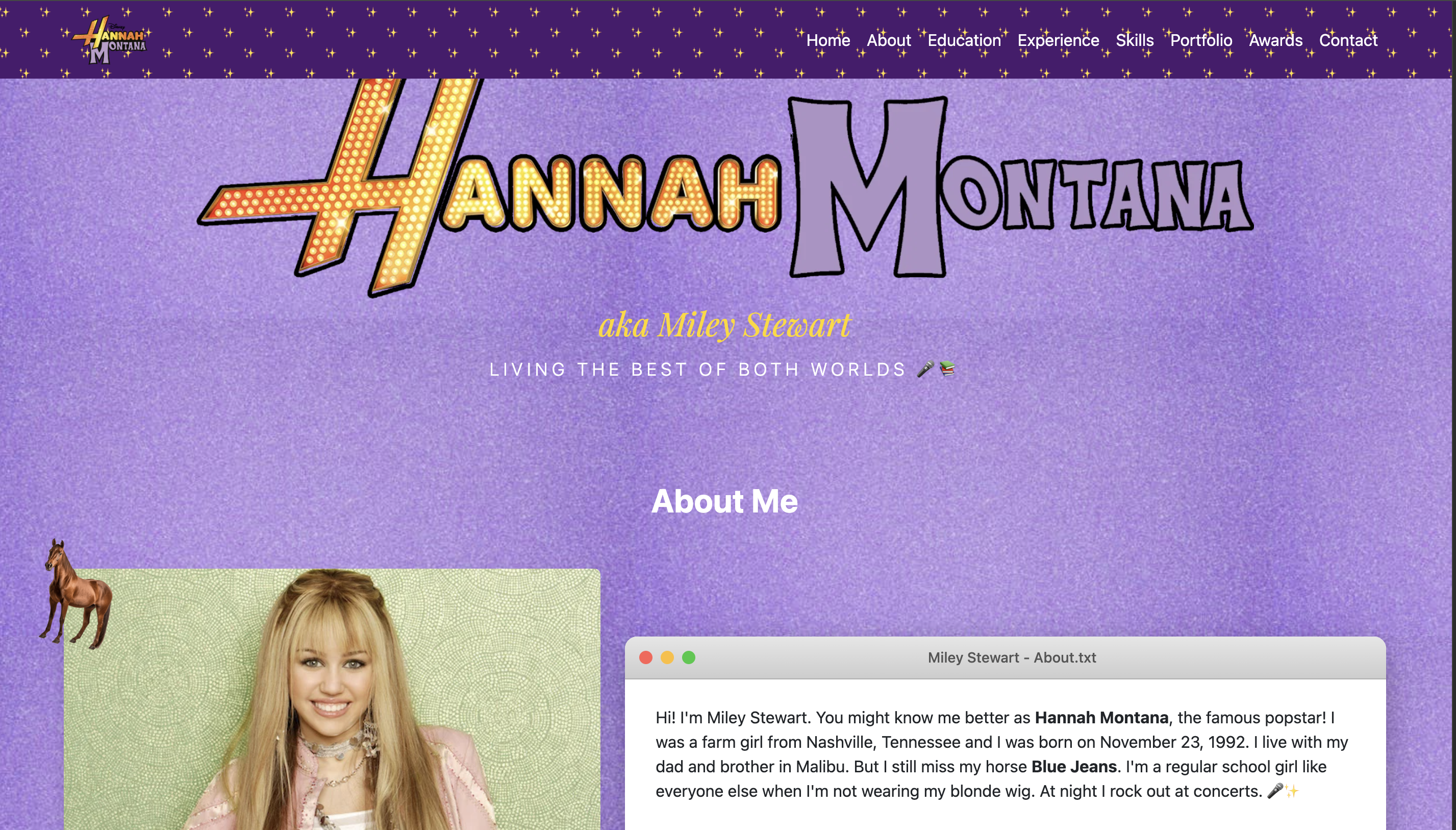 Resume website screenshot